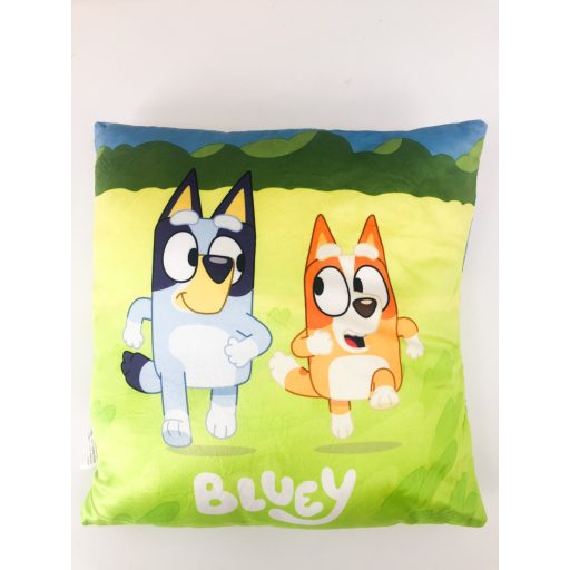 Bluey children pillow