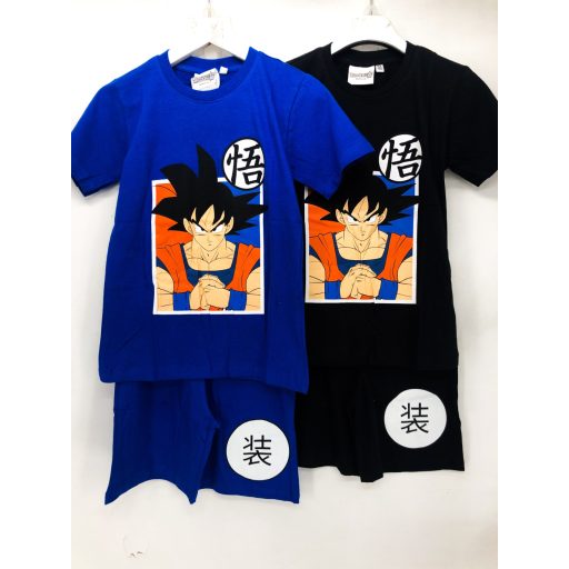 Dragon Ball gyerek fiú nyári együttes