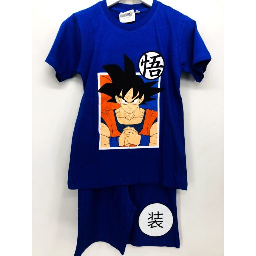 Dragon Ball gyerek fiú nyári együttes