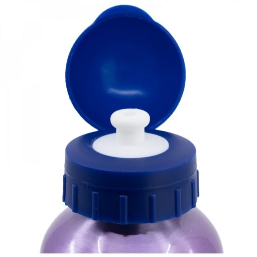 Frozen  stor kids aluminium bottle 560ml