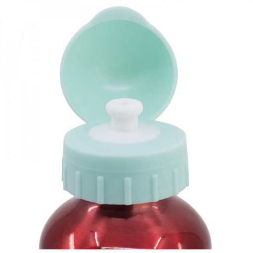 Minnie stor kids aluminium bottle 560ml