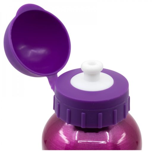 Paw Patrol stor kids aluminium bottle 560ml