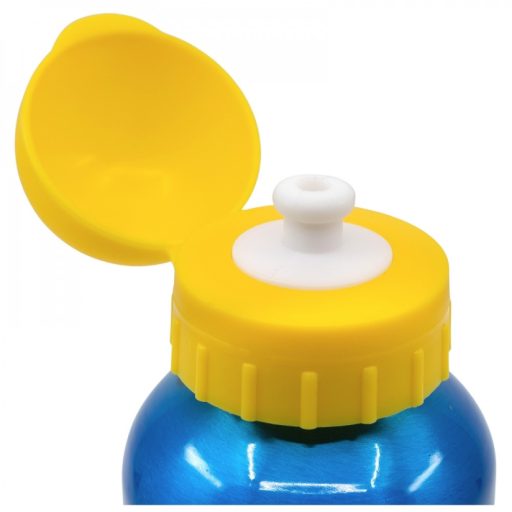 Paw Patrol stor kids aluminium bottle 560ml