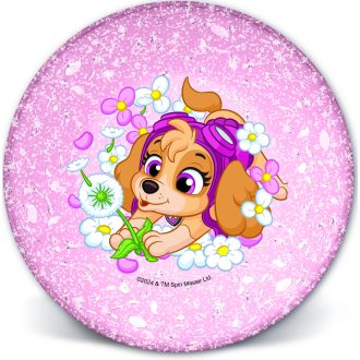 Mancs Őrjárat gyerek műanyag mélytányér