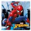 Spiderman children hand towel