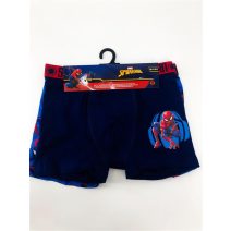 Boxer